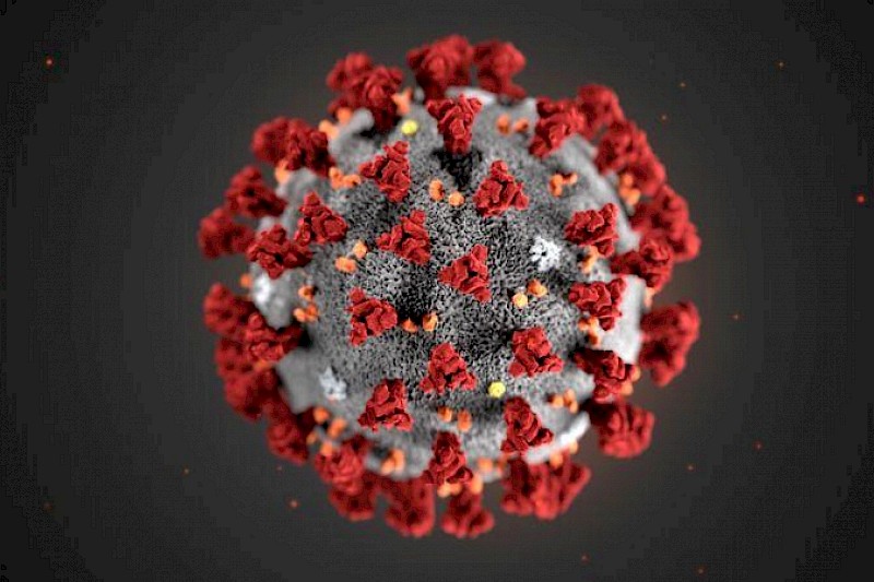 Corona Virus